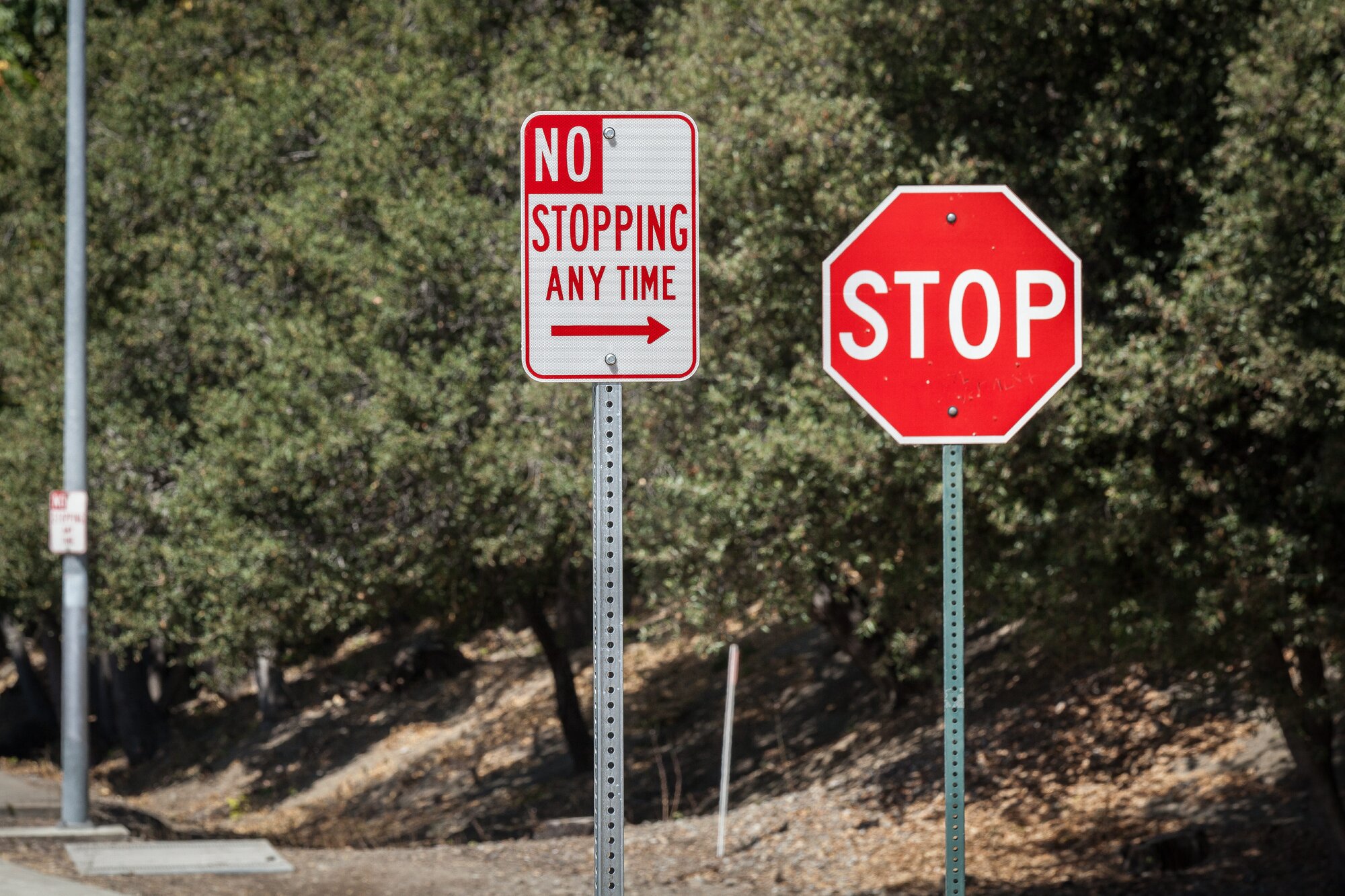 Contradicting signs (Shutterstock)