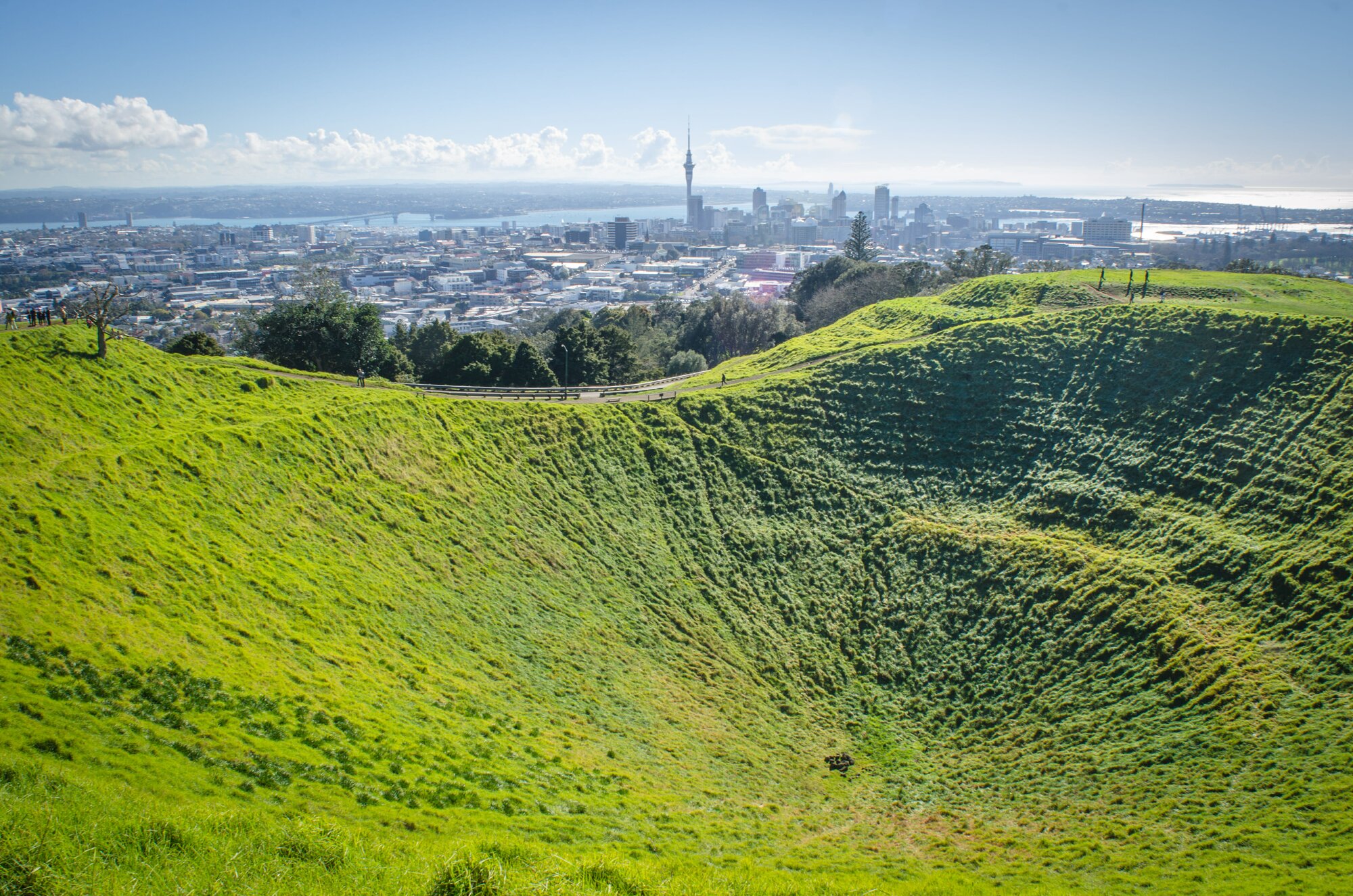 Auckland's skyline from Mount Eden by SOMPHOTOGRAPHY for Shutterstock
