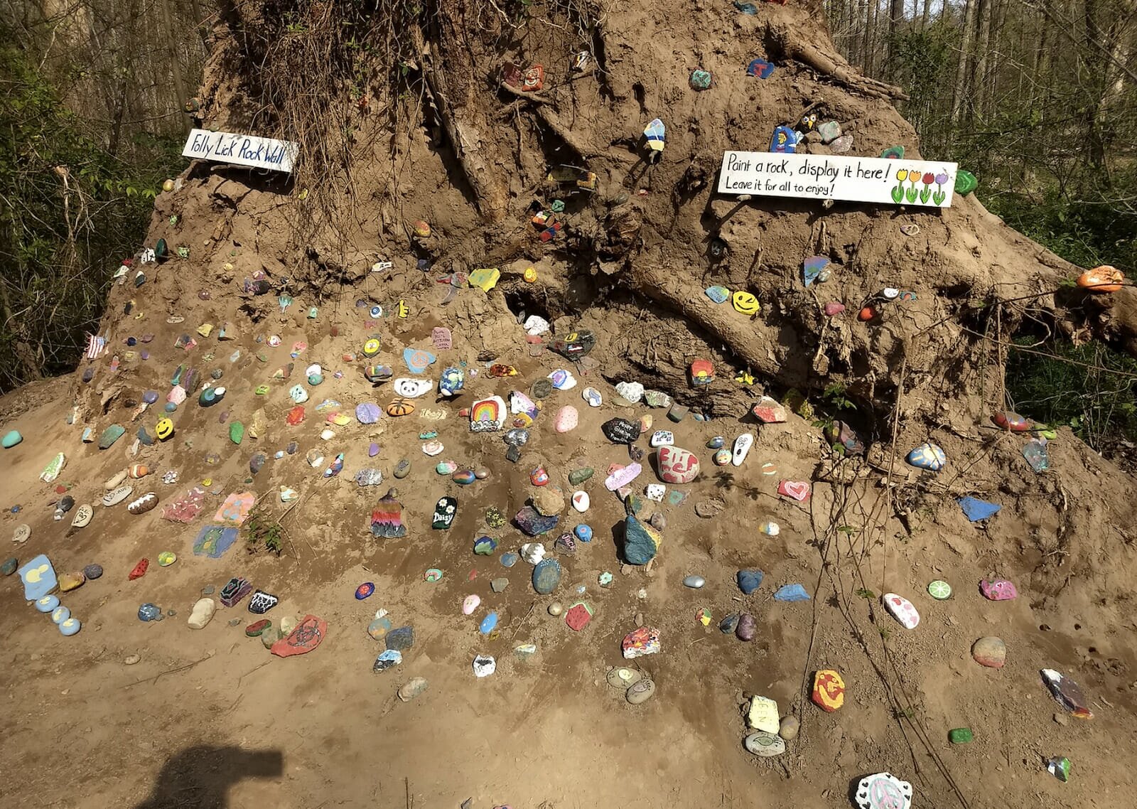 Brad Jennings rock wall in northern Virginia 