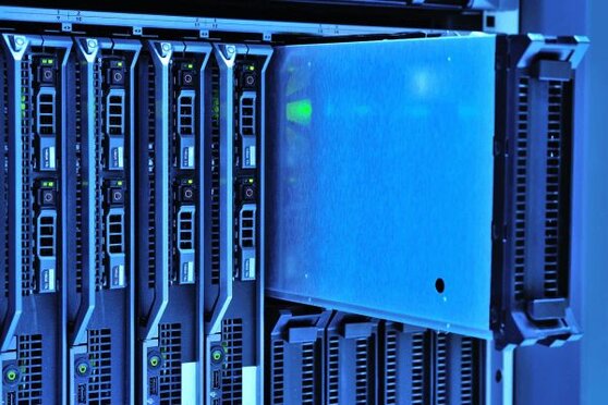 IT Assets - Network infrastructure visualization showing servers, endpoints, and network devices