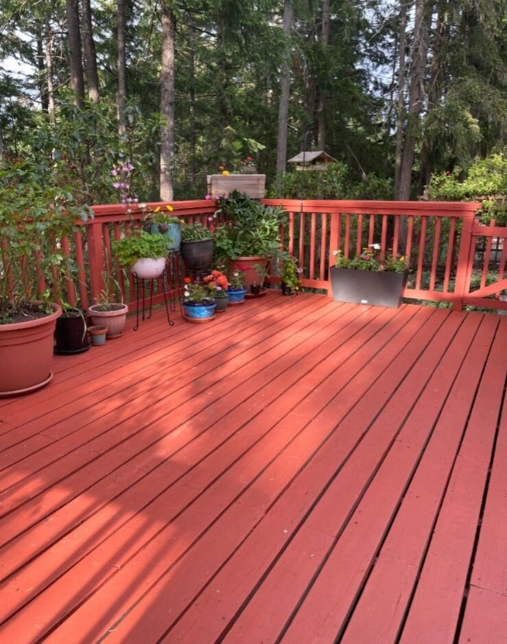 Deck after cleaning