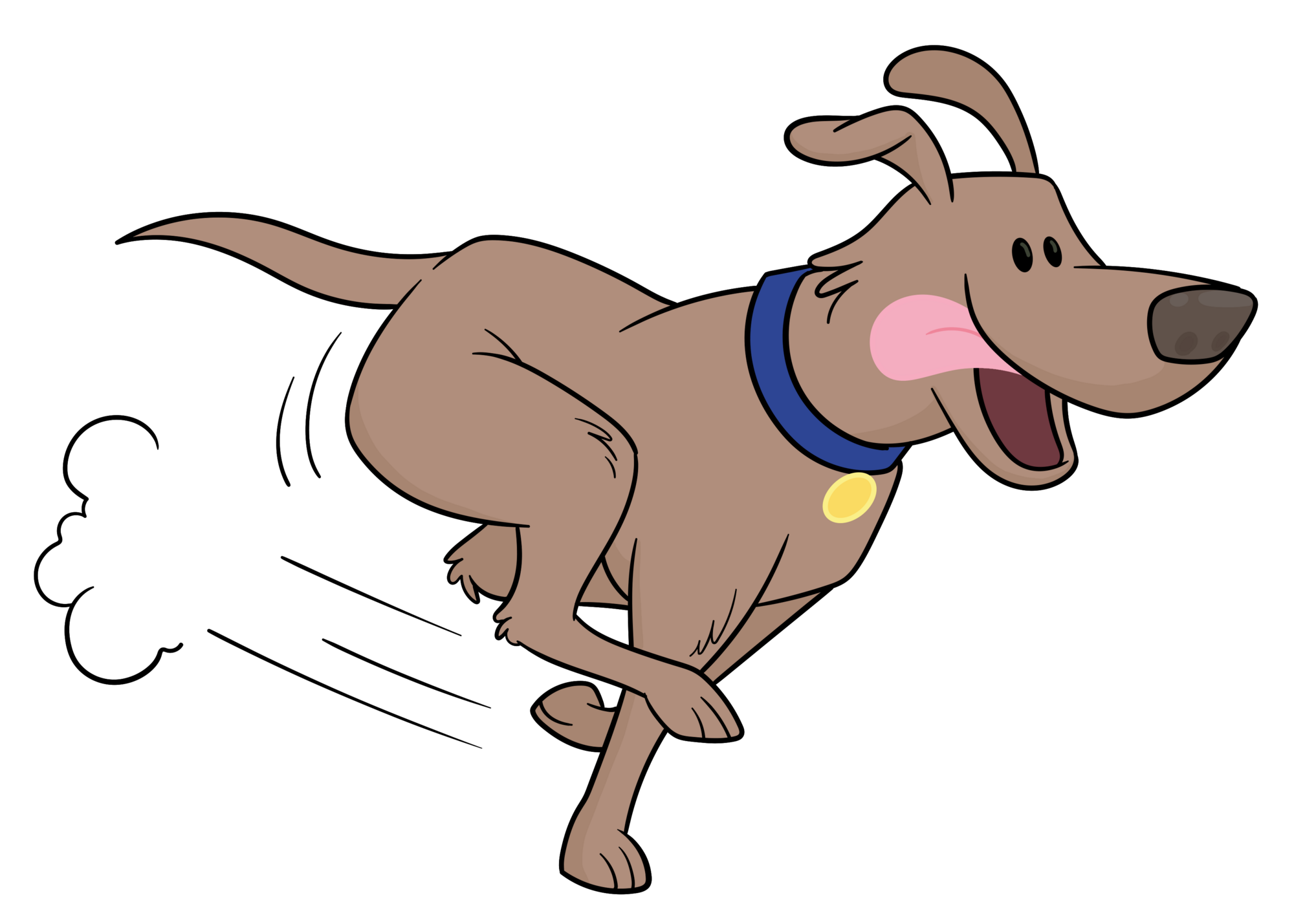Dog running