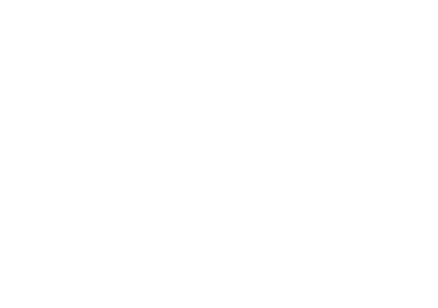 Partner logo 5