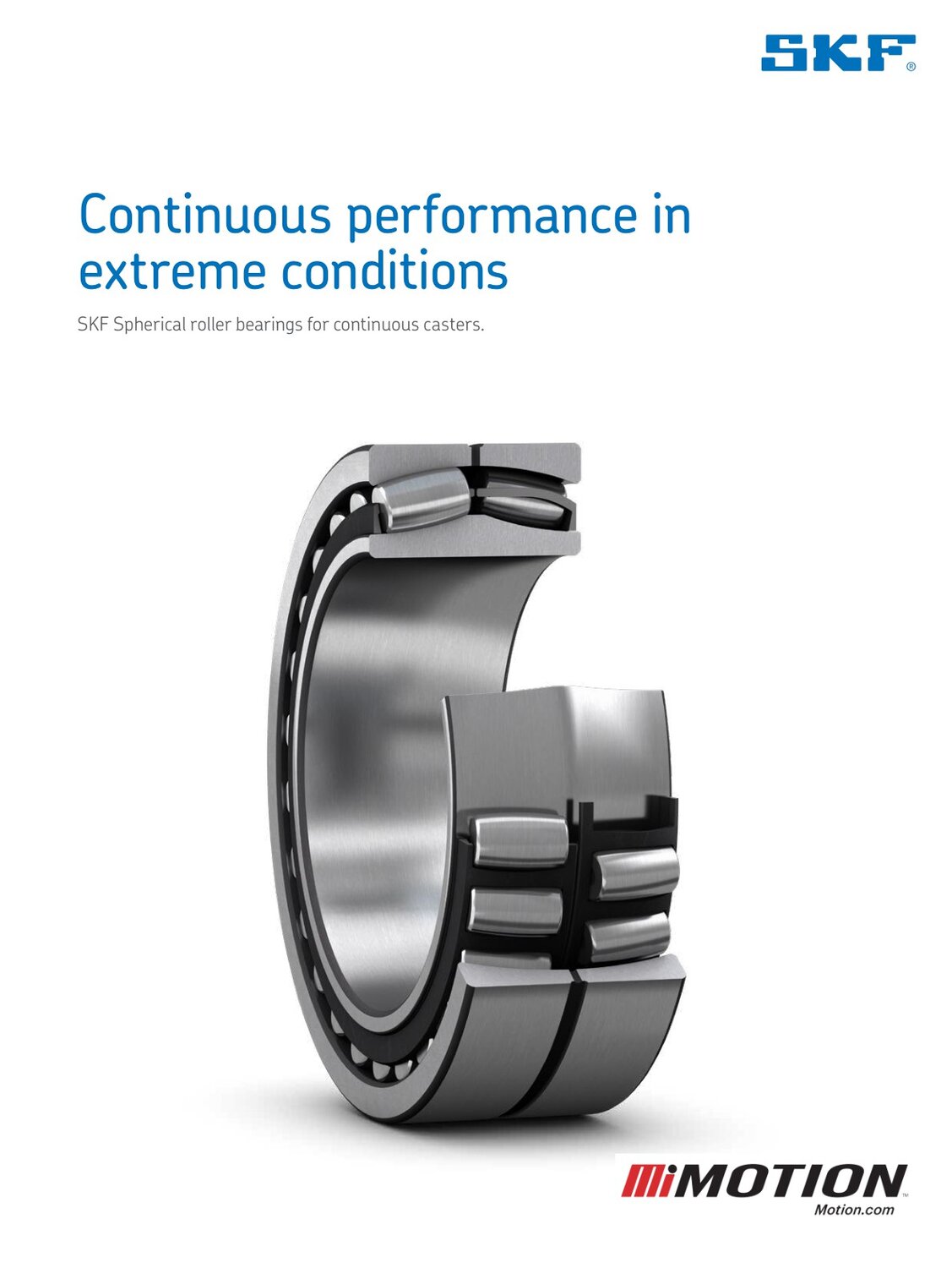 SKF Caster Bearings Flyer