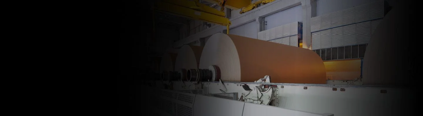 Large spools of pulp and paper are lined in a row, prepared for processing.