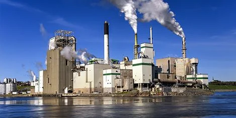 Pulp Processing and Recovery
