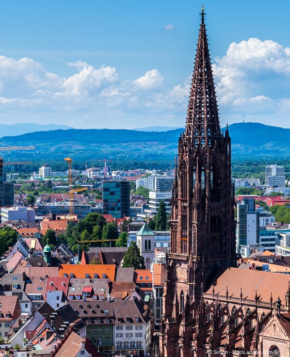 Große Kirche in Freiburg drumherum viele verschiedene Dächer und Hochhäuser. Im Hintergrund sieht man mehrere Hügel. 