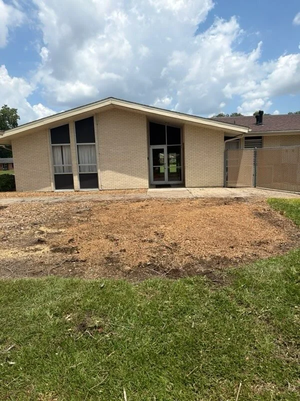 Before Residential Tree Removal