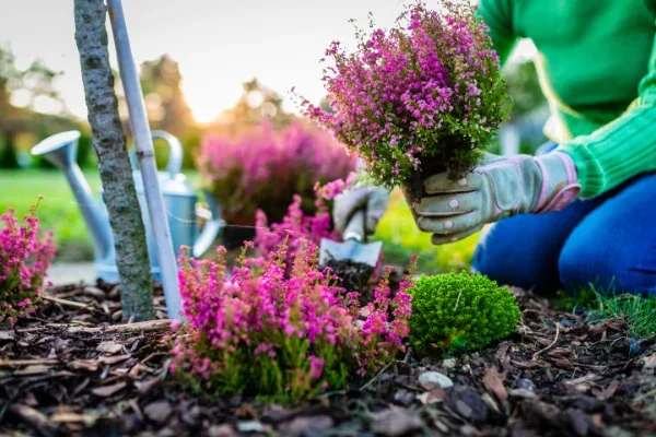 Woman with green shirt gardening