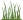 SVG