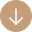 SVG