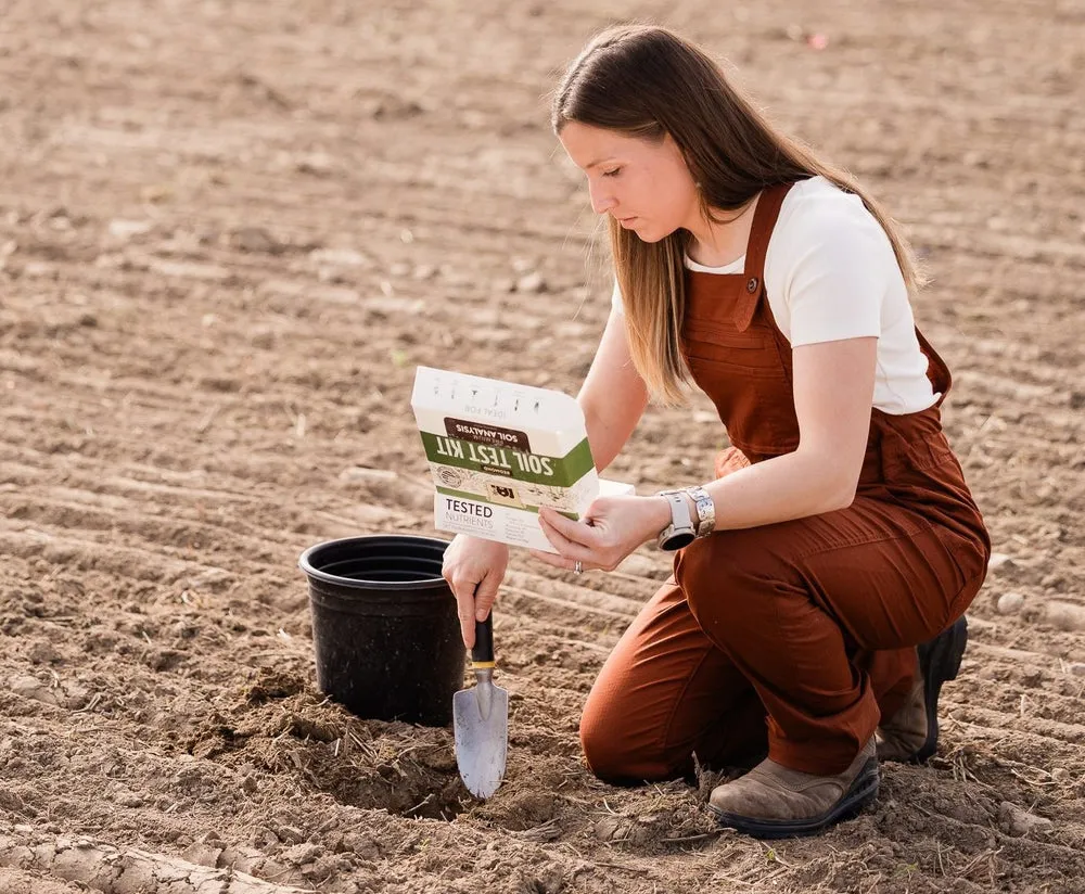 Soil improvement image
