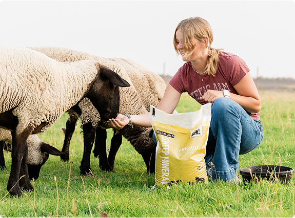 Natural Minerals Formulated for Sheep.