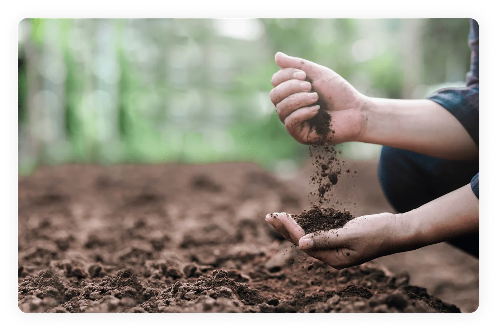 Gardener handling loose, healthy soil