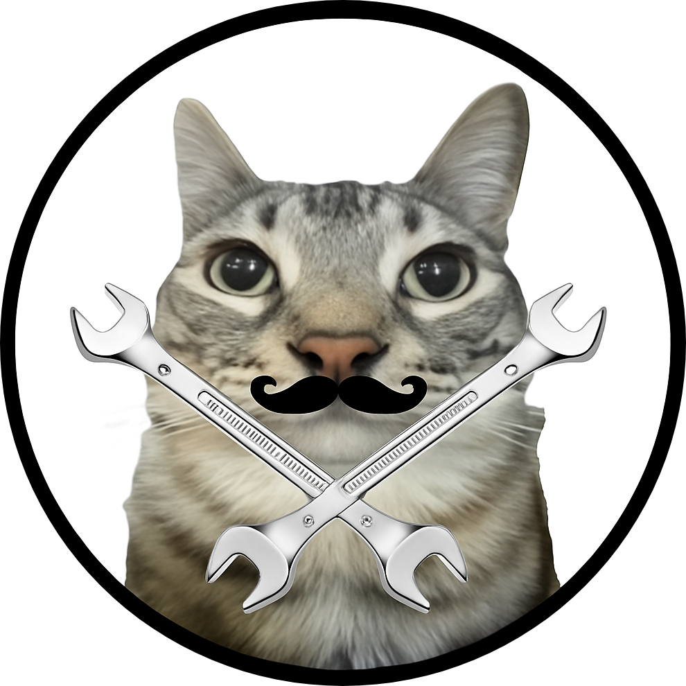 Kitty Character