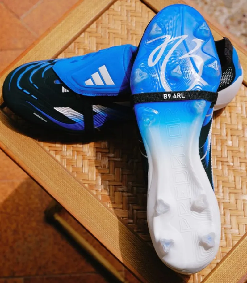 bellingham predators