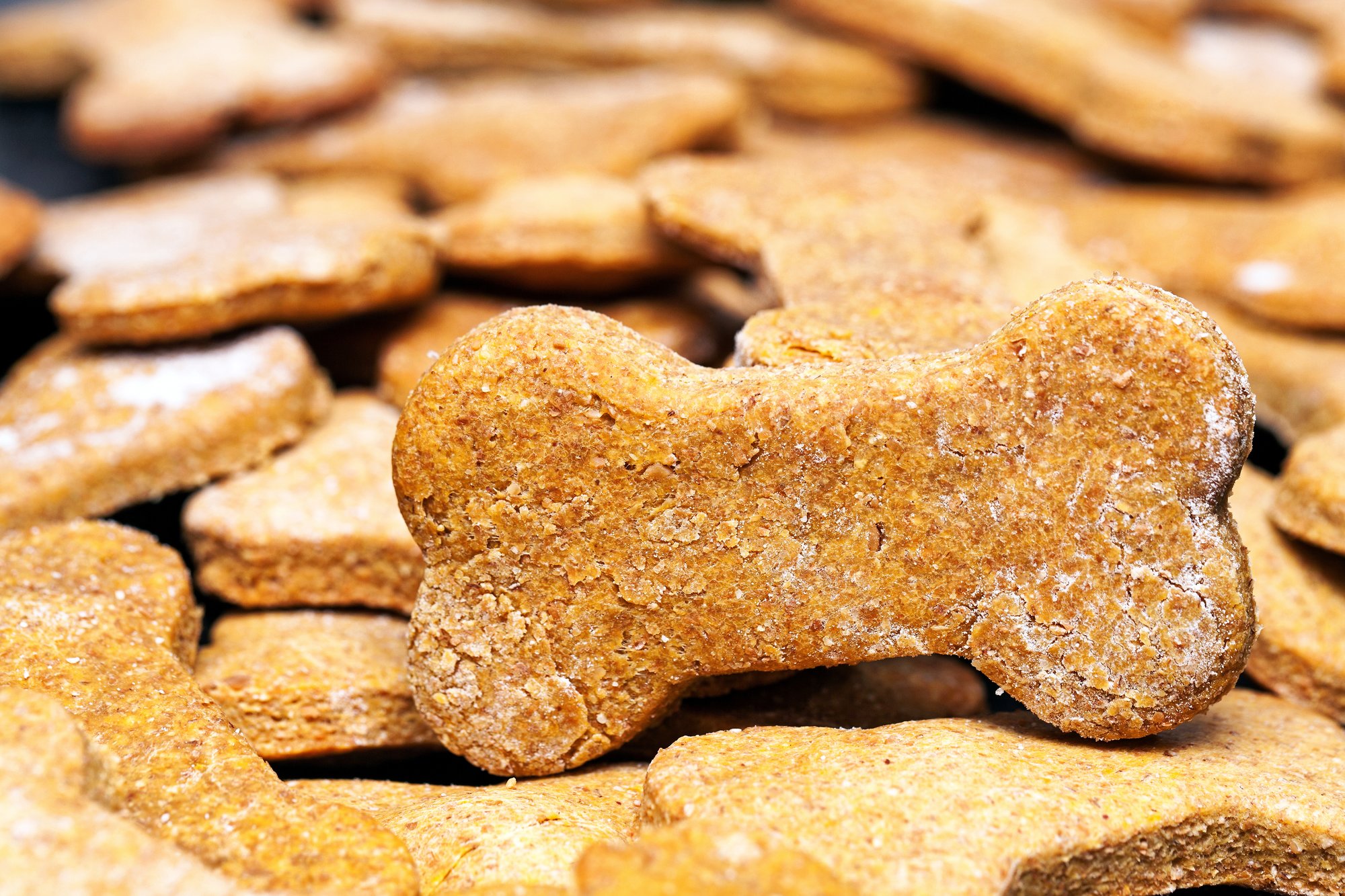 3-Ingredient Dog Treats 