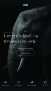 zox elephant bracelets 4