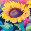 a sunflower