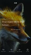 fox background 5