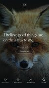 fox background 4