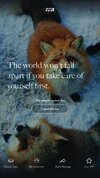 fox background 3