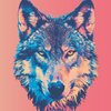 a wolf illustration