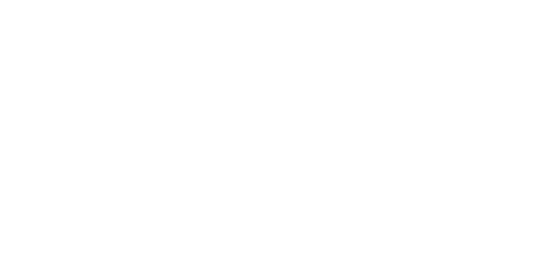 midnight wanderers collection