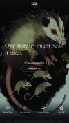 zox otter 2