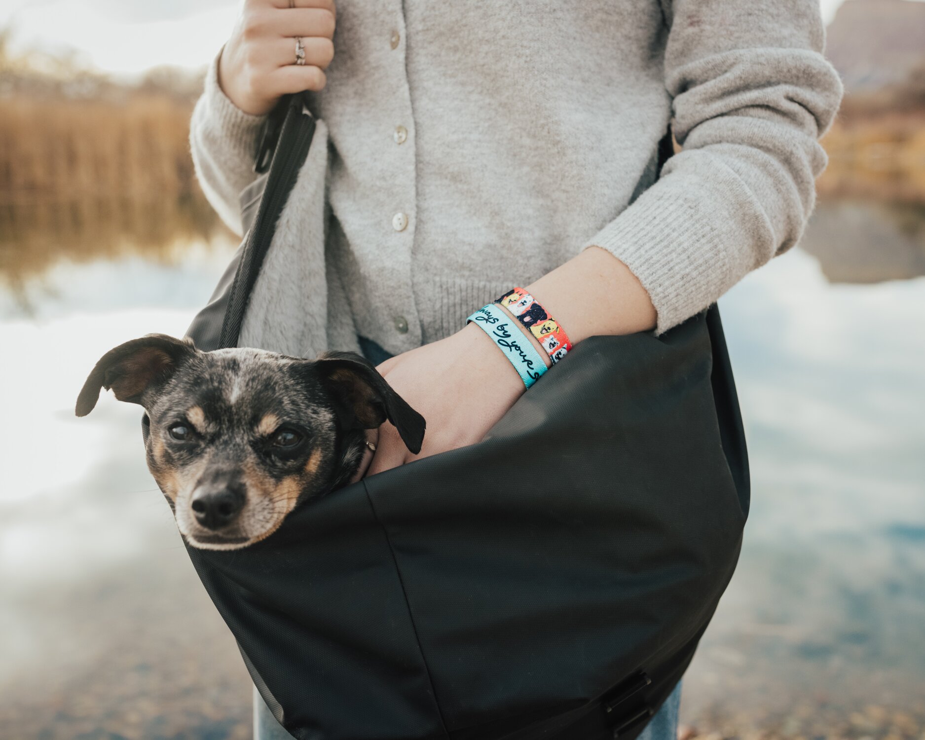 Gifts for Animal Lovers