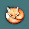 a fox curled up in a ball