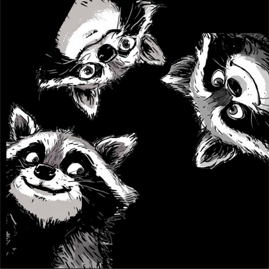 Trash Panda Bracelets