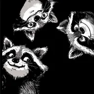 Raccoon Bracelets