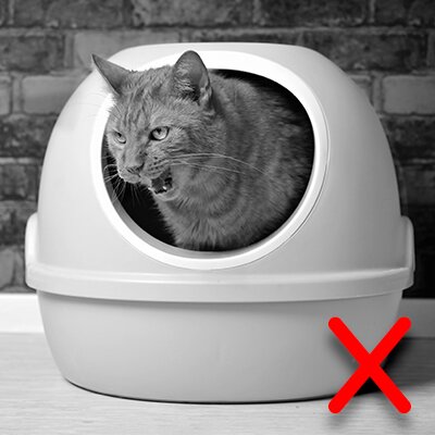 Cat inside a round, enclosed plastic litter box, shown in black and white with a red X in the corner.