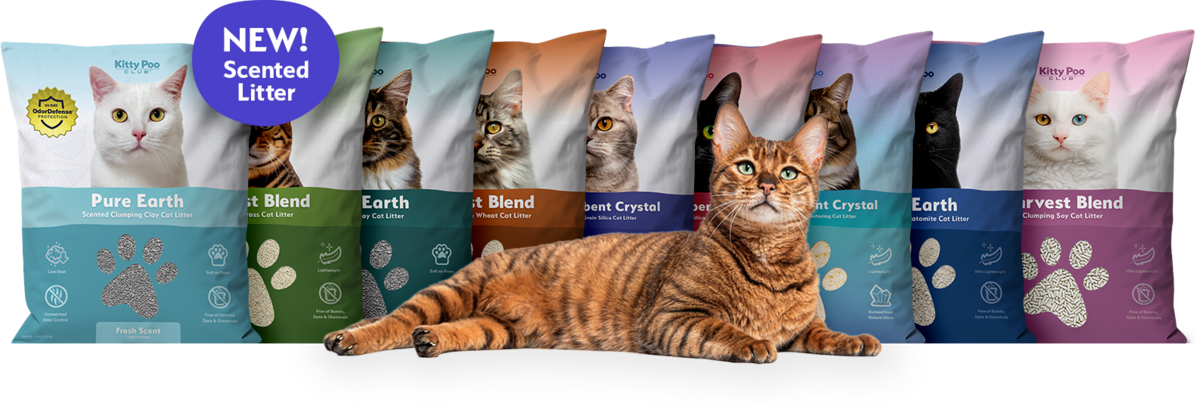 Full lineup of Kitty Poo Club litter types with bags in various colors and matching litter samples below. Cats behind the bags reaching upwards.