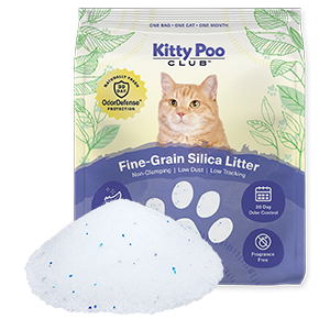 Kitty Poo Club - Non-Clumping Fine-Grain Silica Litter