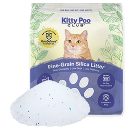 Kitty Poo Club - Non-Clumping Fine-Grain Silica Litter