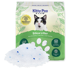 Kitty Poo Club - Non-Clumping Silica Litter