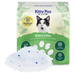 Kitty Poo Club - Non-Clumping Silica Litter