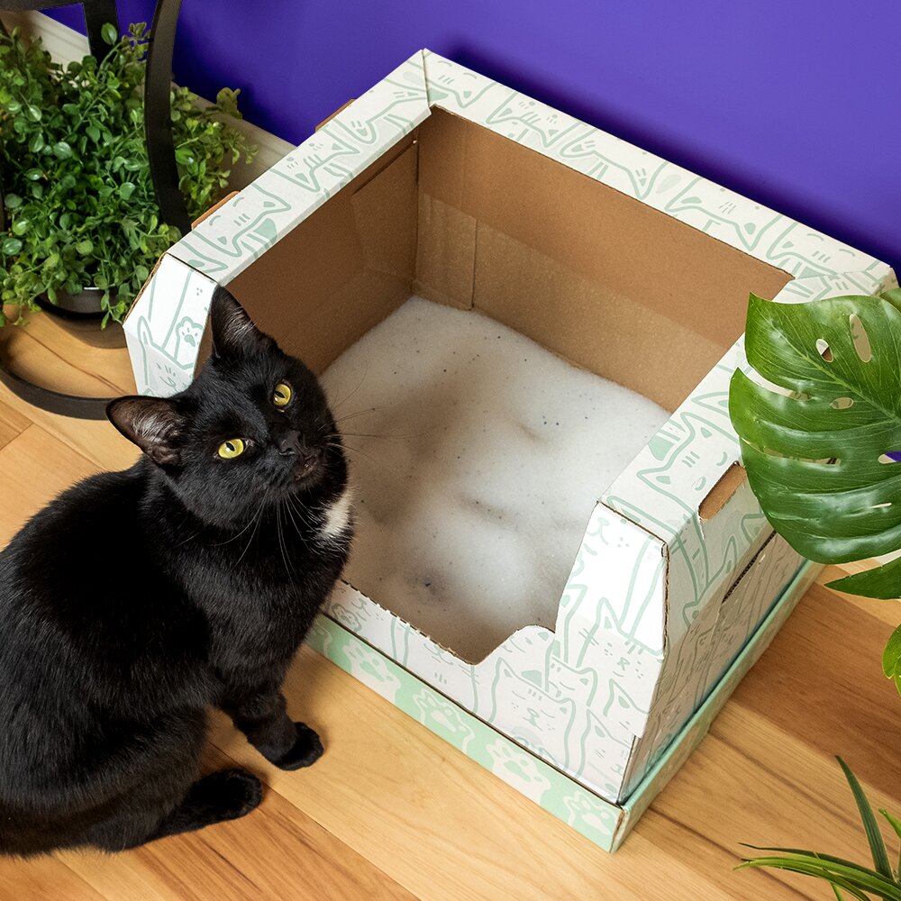 Happy Mother's Day! A young woman hugging her black cat in front of a Kitty Poo Club Disposable Litter Box