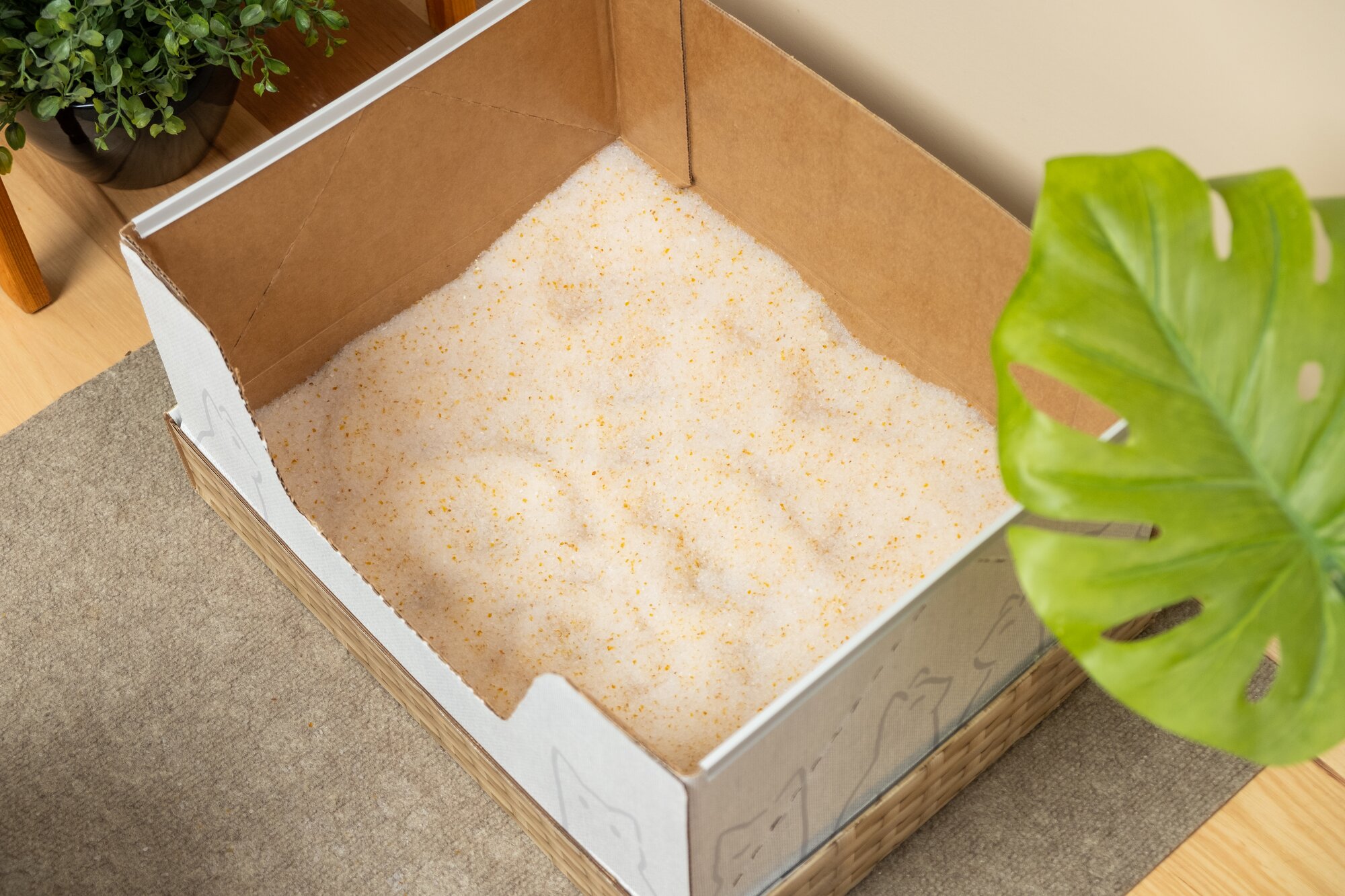 A Kitty Poo Club litter box filled with Health Monitoring Litter