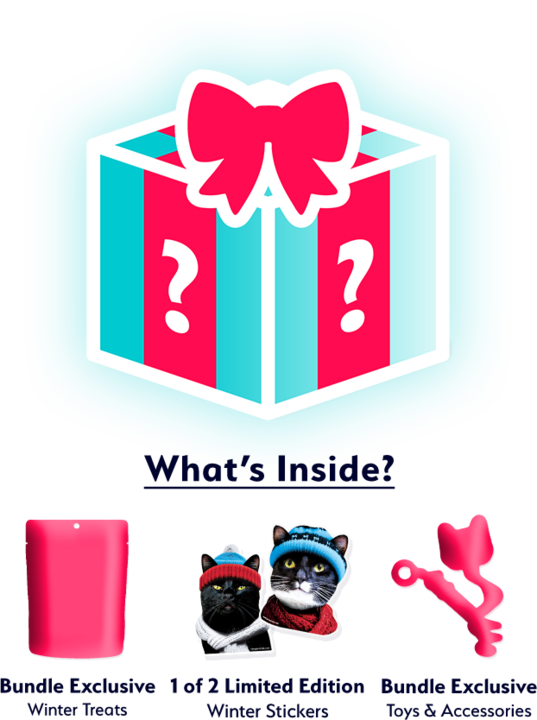 Winter mystery bundle contents preview, featuring exclusive winter treats, toys and accessories, and one of two limited-edition winter stickers, with a gift box icon decorated with a bow and question marks.