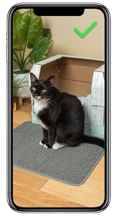 Calico cat wearing a white shirt sitting in front of an open Kitty Poo Club Litter Box with a wicker-style base. Green check mark in the corner.