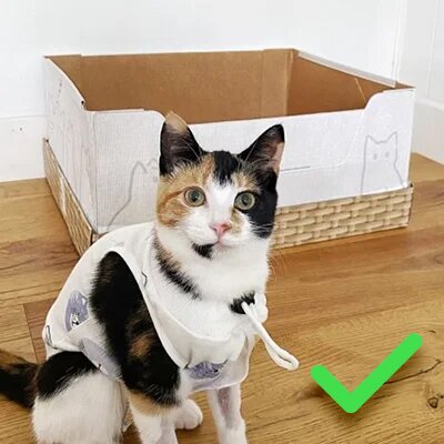 Calico cat wearing a white shirt sitting in front of an open Kitty Poo Club Litter Box with a wicker-style base. Green check mark in the corner.
