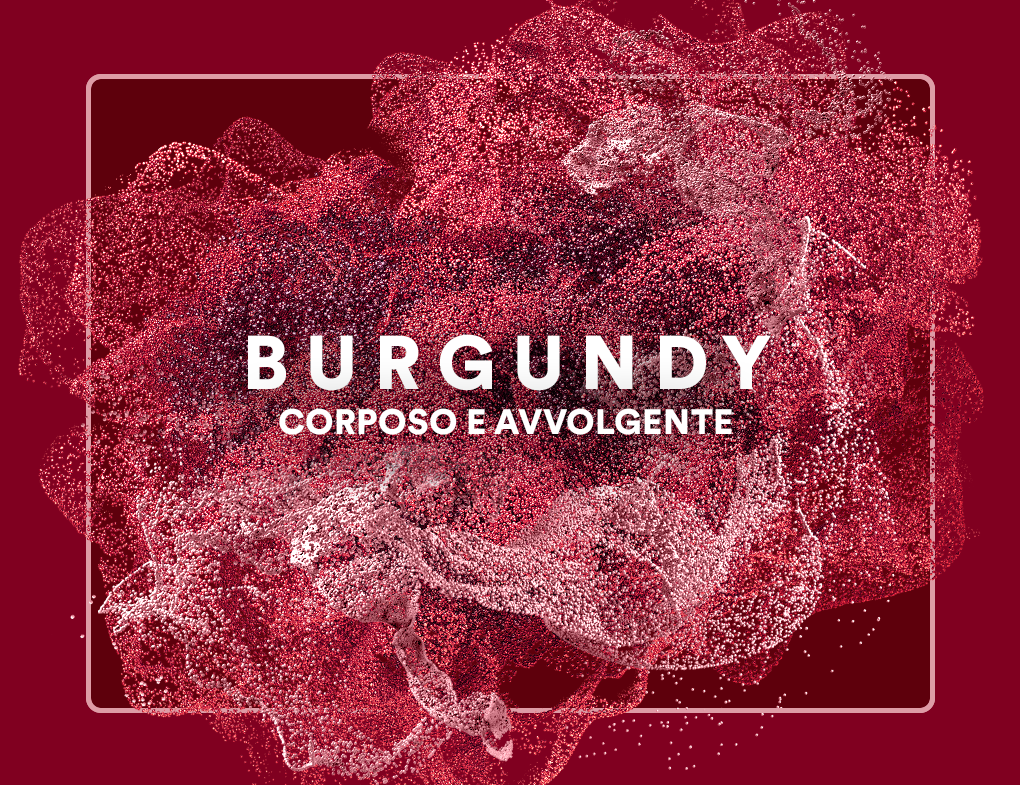 Pack of EVO sticks Burgundy for Ploom