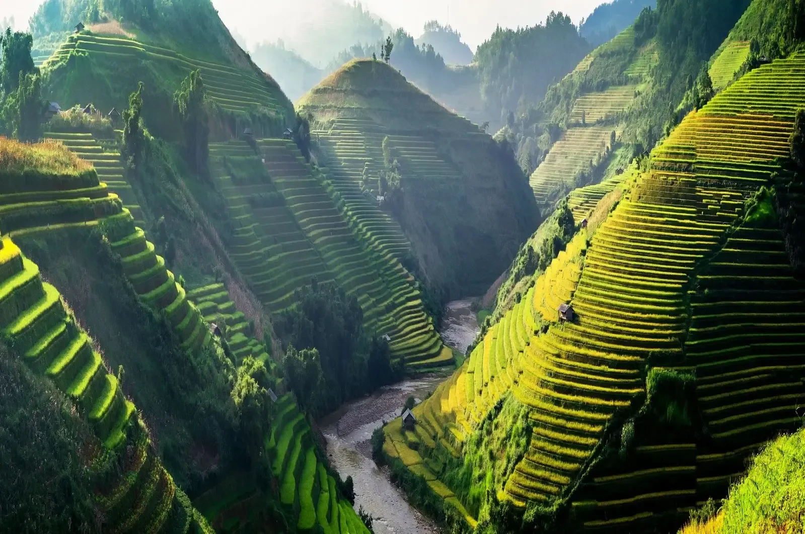 Từ Cao Nguyên Đến Bờ Biển Di Sản 10N9Đ