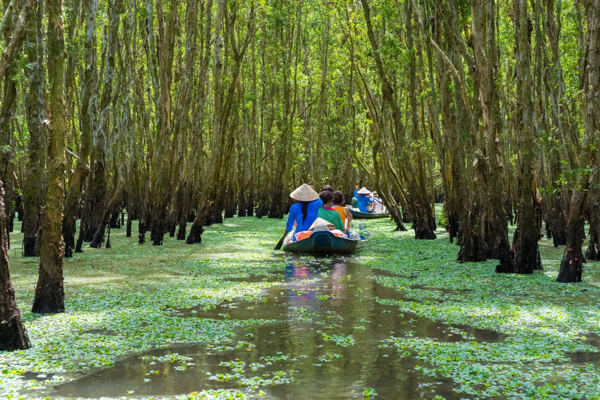 MEKONG DELTA