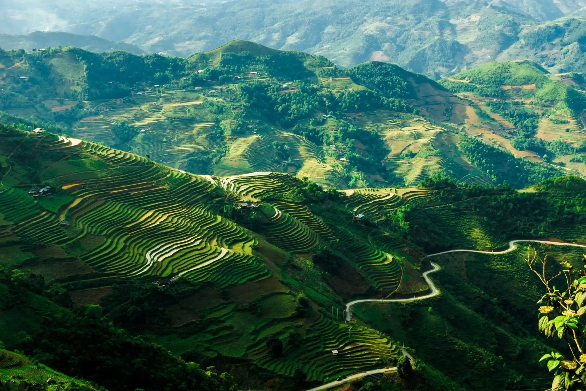 hÀ GIANG