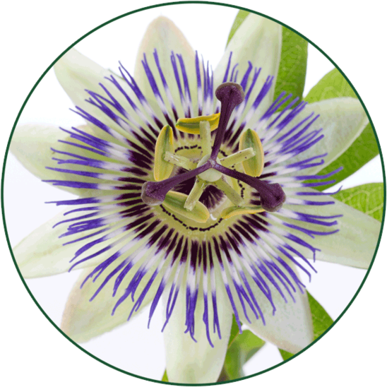 Passionflower and magnesium