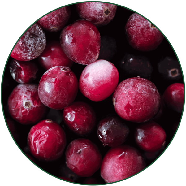 Cranberry Phytosome